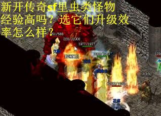 新开传奇sf里虫类怪物经验高吗？选它们升级效率怎么样？