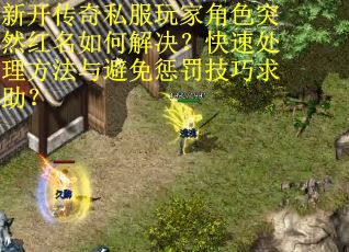 新开传奇私服玩家角色突然红名如何解决？快速处理方法与避免惩罚技巧求助？