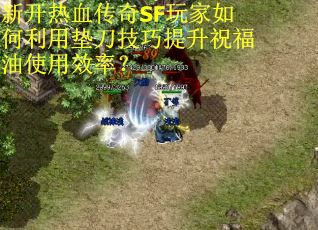 新开热血传奇SF玩家如何利用垫刀技巧提升祝福油使用效率？