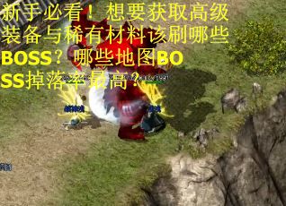 新手必看！想要获取高级装备与稀有材料该刷哪些BOSS？哪些地图BOSS掉落率最高？