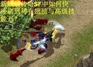 新蝴蝶传奇SF中如何快速刷到稀有翅膀与高级技能书？