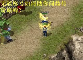 无赦称号如何助你问鼎传奇巅峰？