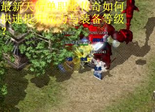 最新天佑单职业传奇如何快速提升战力与装备等级？