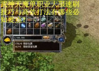 武神天魔单职业大服速刷技巧与高效打法有哪些必知要点？