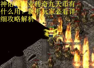 神佑单职业传奇九天币有什么用？新手玩家必看详细攻略解析