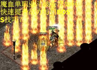 魔血单职业斗破苍穹如何快速提升战力与刷BOSS技巧？