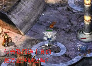˽ʿְҵ