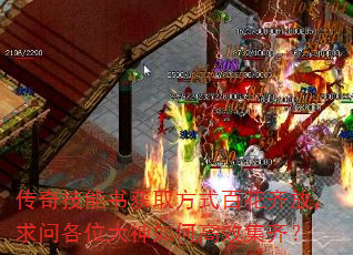 漼ȡʽٻţʸλθЧ룿