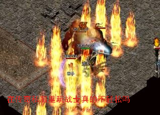 ڴ˽սʿĲ