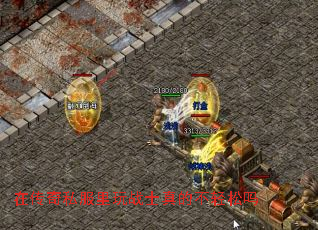 ڴ˽սʿĲ