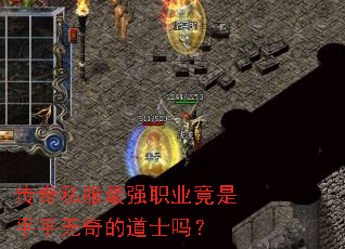 ˽ǿְҵƽƽĵʿ
