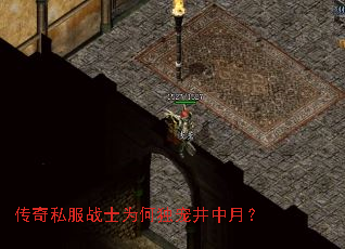 ˽սʿΪζ辮£