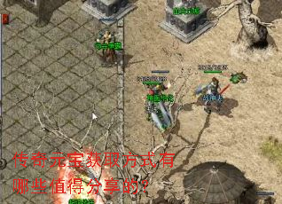 ԪȡʽЩֵ÷ģ