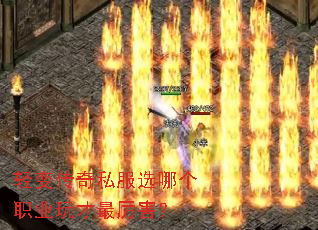 䴫˽ѡĸְҵ