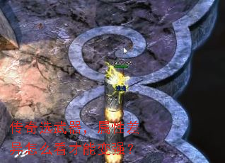 ѡԲôܱǿ