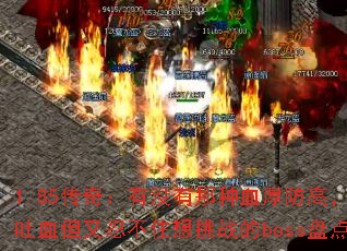 1.85传奇:有没有那种血厚防高,打到吐血但又忍不住想挑战的boss盘点? 1.85传奇:有没有那种血厚防高,打到吐血但又忍不住想挑战的boss盘点?