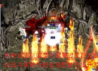 ˽ǷҪְҵƣŻսְҵܷϷ飿