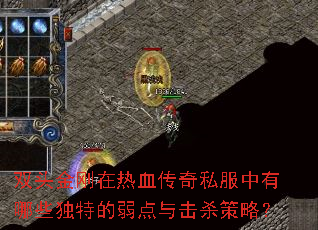 ˫ͷѪ˽Щصɱԣ