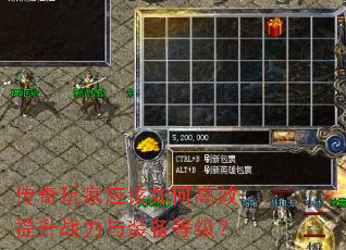 ӦθЧսװȼ