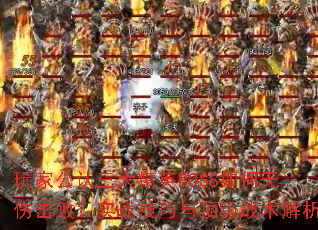 ҹӢBOSS˻ܣʵս붥ս