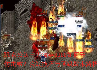 ҹӢBOSS˻ܣʵս붥ս
