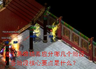ʿӢӦļ׶Σ׶κҪʲô