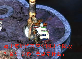 ʿӢӦļ׶Σ׶κҪʲô