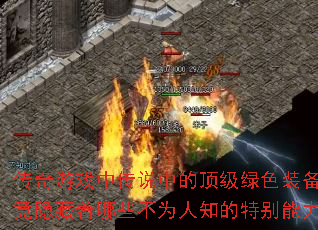 Ϸд˵еĶɫװЩΪ֪ر