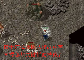 道士在私服团队作战中需掌握哪些关键辅助技能? 道士在私服团队作战中需掌握哪些关键辅助技能?