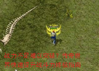 战力不足难以突破?传奇世界快速提升战斗力终极指南 战力不足难以突破?传奇世界快速提升战斗力终极指南