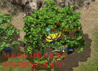 玩家组队时需注意哪些职业搭配与沟通技巧? 玩家组队时需注意哪些职业搭配与沟通技巧?