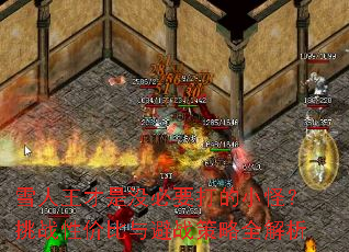 雪人王才是没必要打的小怪?挑战性价比与避战策略全解析 雪人王才是没必要打的小怪?挑战性价比与避战策略全解析