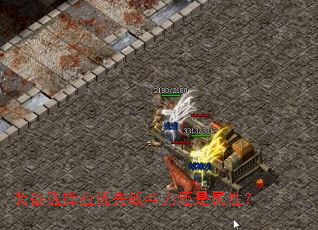 装备选择应优先战斗力还是属性? 装备选择应优先战斗力还是属性?