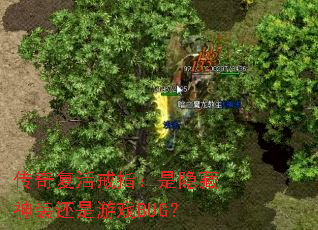 传奇复活戒指:是隐藏神装还是游戏BUG? 传奇复活戒指:是隐藏神装还是游戏BUG?