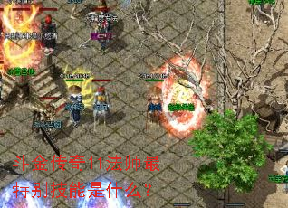 斗金传奇11法师最特别技能是什么? 斗金传奇11法师最特别技能是什么?