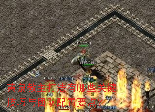 黄泉教主打法有哪些关键技巧与团队配置要点? 黄泉教主打法有哪些关键技巧与团队配置要点?