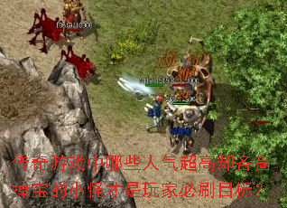 传奇游戏中哪些人气超高却吝啬掉宝的小怪才是玩家必刷目标? 传奇游戏中哪些人气超高却吝啬掉宝的小怪才是玩家必刷目标?