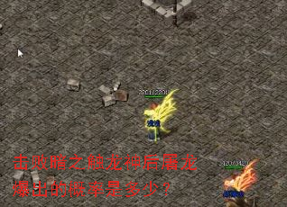 击败暗之触龙神后屠龙爆出的概率是多少? 击败暗之触龙神后屠龙爆出的概率是多少?