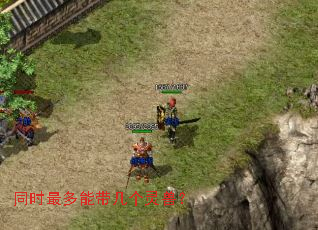 同时最多能带几个灵兽? 同时最多能带几个灵兽?