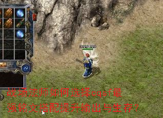 战场法师如何选择cqsf最强铭文搭配提升输出与生存? 战场法师如何选择cqsf最强铭文搭配提升输出与生存?