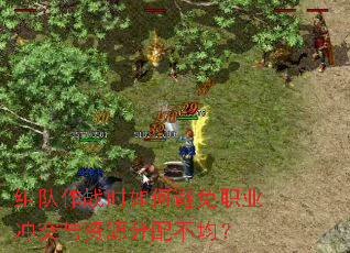 组队作战时如何避免职业冲突与资源分配不均? 组队作战时如何避免职业冲突与资源分配不均?