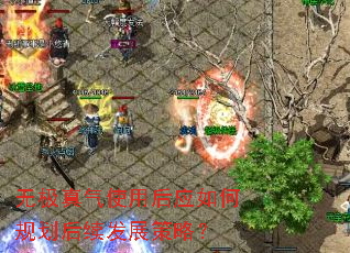 无极真气使用后应如何规划后续发展策略? 无极真气使用后应如何规划后续发展策略?