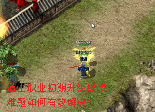 道士职业初期升级缓慢难题如何有效解决? 道士职业初期升级缓慢难题如何有效解决?