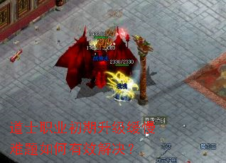 道士职业初期升级缓慢难题如何有效解决? 道士职业初期升级缓慢难题如何有效解决?