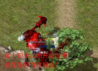 道士职业初期升级缓慢难题如何有效解决? 道士职业初期升级缓慢难题如何有效解决?