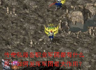传奇私服各职业军团都有什么用?如何发挥军团最大作用? 传奇私服各职业军团都有什么用?如何发挥军团最大作用?