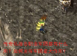 传奇私服各职业军团都有什么用?如何发挥军团最大作用? 传奇私服各职业军团都有什么用?如何发挥军团最大作用?