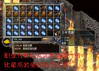 职业传奇玩家如何选择性价比最高的坐骑购买方案? 职业传奇玩家如何选择性价比最高的坐骑购买方案?