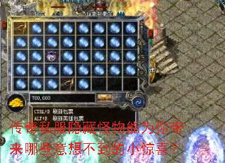 传奇私服隐藏怪物能为你带来哪些意想不到的小惊喜? 传奇私服隐藏怪物能为你带来哪些意想不到的小惊喜?