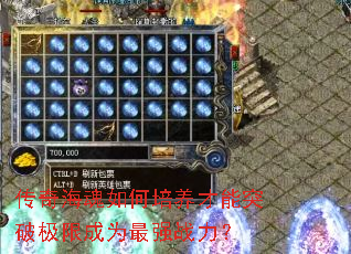 传奇海魂如何培养才能突破极限成为最强战力? 传奇海魂如何培养才能突破极限成为最强战力?